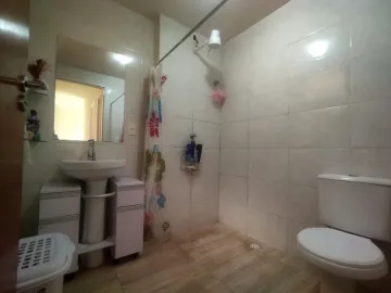 Alugar Apartamento / Padrão em São José do Rio Preto R$ 600,00 - Foto 11