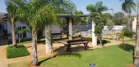 Comprar Apartamento / Padrão em São José do Rio Preto apenas R$ 295.000,00 - Foto 14