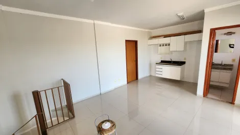 Alugar Apartamento / Cobertura em São José do Rio Preto R$ 1.650,00 - Foto 20