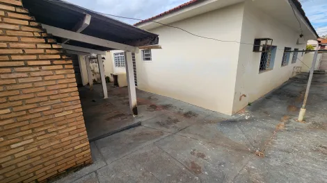 Alugar Casa / Padrão em São José do Rio Preto R$ 1.600,00 - Foto 3