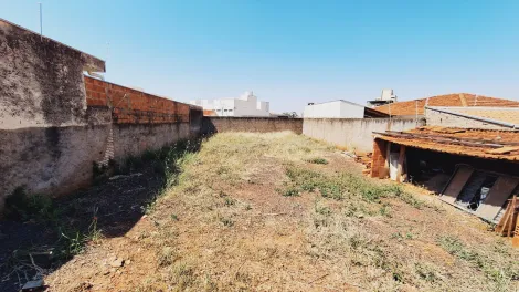 Alugar Comercial / Casa Comercial em São José do Rio Preto R$ 2.500,00 - Foto 23