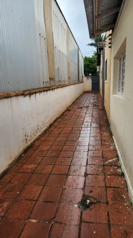 Alugar Casa / Padrão em São José do Rio Preto R$ 650,00 - Foto 11