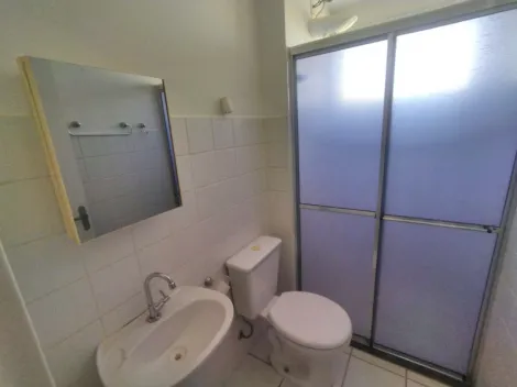 Alugar Apartamento / Padrão em São José do Rio Preto R$ 1.150,00 - Foto 15