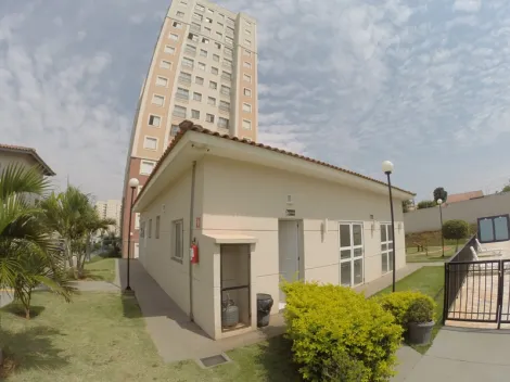 Alugar Apartamento / Padrão em São José do Rio Preto R$ 1.150,00 - Foto 18