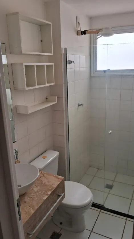 Alugar Apartamento / Padrão em São José do Rio Preto R$ 1.210,00 - Foto 7