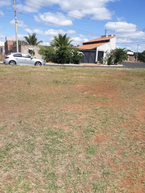 Comprar Terreno / Padrão em Bálsamo apenas R$ 110.000,00 - Foto 3