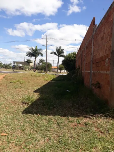 Comprar Terreno / Padrão em Bálsamo apenas R$ 110.000,00 - Foto 5