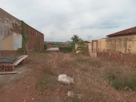 Terreno / Padrão em São José do Rio Preto 