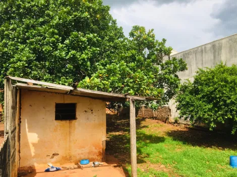 Comprar Terreno / Padrão em Neves Paulista apenas R$ 330.000,00 - Foto 4