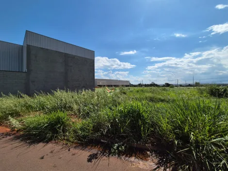 Comprar Terreno / Padrão em São José do Rio Preto apenas R$ 790.000,00 - Foto 1