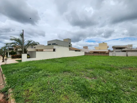 Comprar Terreno / Condomínio em Bady Bassitt apenas R$ 300.000,00 - Foto 2