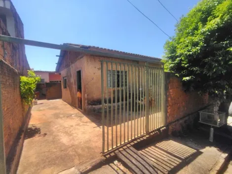 Casa / Padrão em São José do Rio Preto Alugar por R$900,00