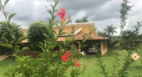 Comprar Rural / Chácara em Cedral apenas R$ 1.290.000,00 - Foto 12