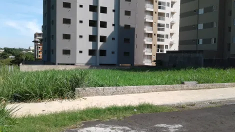 Comprar Terreno / Área em São José do Rio Preto R$ 1.800.000,00 - Foto 5