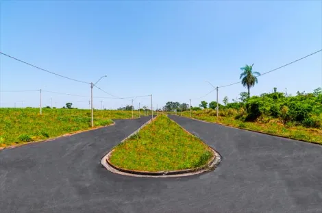 Comprar Terreno / Padrão em São José do Rio Preto - Foto 2