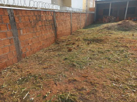 Comprar Terreno / Padrão em São José do Rio Preto apenas R$ 270.000,00 - Foto 2