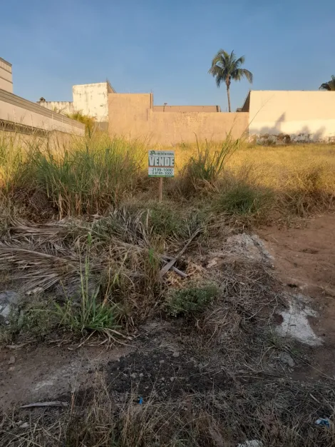 Comprar Terreno / Padrão em São José do Rio Preto R$ 560.000,00 - Foto 4