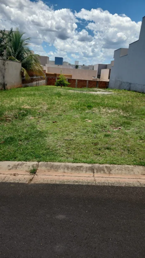 Comprar Terreno / Condomínio em São José do Rio Preto apenas R$ 320.000,00 - Foto 1