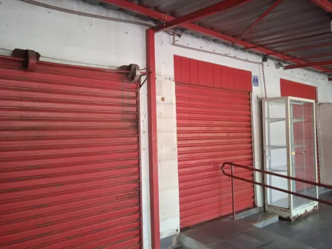 Alugar Comercial / Salão em São José do Rio Preto R$ 4.500,00 - Foto 1