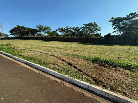 Comprar Terreno / Condomínio em Mirassol apenas R$ 432.500,00 - Foto 9