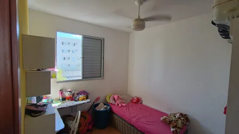 Alugar Apartamento / Padrão em São José do Rio Preto R$ 900,00 - Foto 1