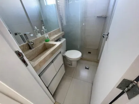 Alugar Apartamento / Padrão em São José do Rio Preto R$ 1.200,00 - Foto 10