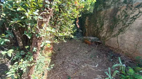 Alugar Casa / Padrão em São José do Rio Preto R$ 2.500,00 - Foto 14