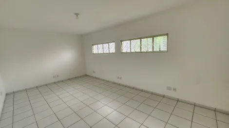 Comercial / Casa Comercial em São José do Rio Preto 