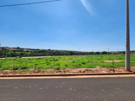 Terreno / Padrão em São José do Rio Preto 