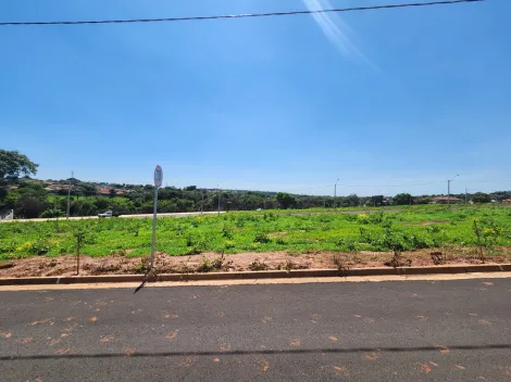 Alugar Terreno / Padrão em São José do Rio Preto. apenas R$ 84.000,00