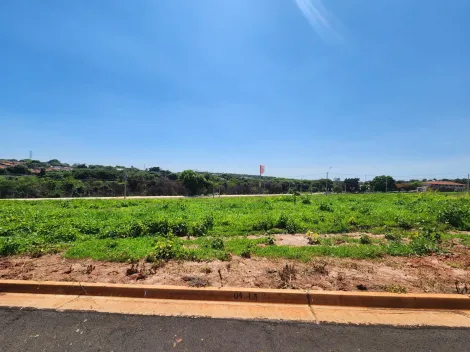 Terreno / Padrão em São José do Rio Preto 