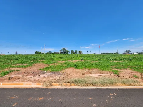 Comprar Terreno / Padrão em São José do Rio Preto R$ 84.000,00 - Foto 1