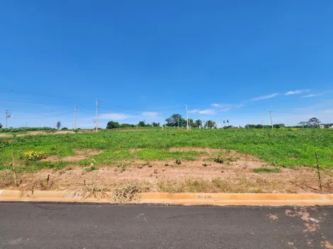 Comprar Terreno / Padrão em São José do Rio Preto R$ 84.000,00 - Foto 1