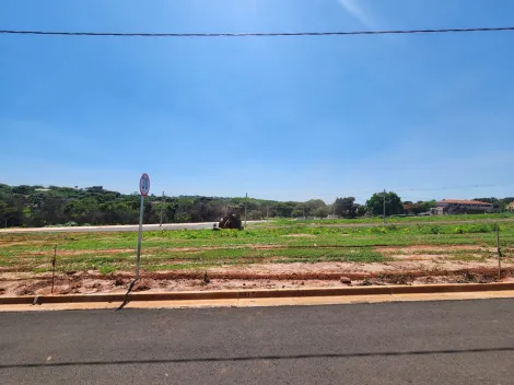 Alugar Terreno / Padrão em São José do Rio Preto. apenas R$ 84.000,00