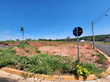 Comprar Terreno / Padrão em São José do Rio Preto R$ 100.000,00 - Foto 2