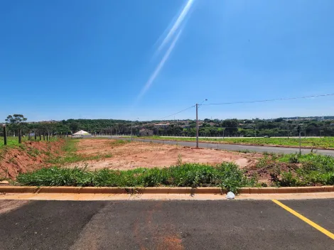 Comprar Terreno / Padrão em São José do Rio Preto R$ 100.000,00 - Foto 3