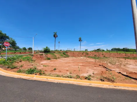 Comprar Terreno / Padrão em São José do Rio Preto R$ 100.000,00 - Foto 4