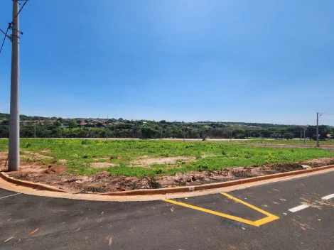 Terreno / Padrão em São José do Rio Preto 