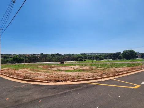 Terreno / Padrão em São José do Rio Preto 