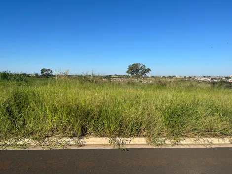 Comprar Terreno / Padrão em São José do Rio Preto apenas R$ 120.000,00 - Foto 2