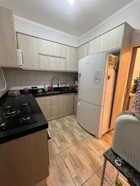 Comprar Casa / Padrão em São José do Rio Preto apenas R$ 420.000,00 - Foto 5
