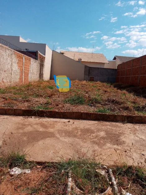 Comprar Terreno / Padrão em São José do Rio Preto apenas R$ 129.000,00 - Foto 3