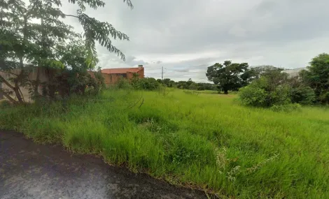 São José do Rio Preto - Residencial Mais Viver - Terreno - Padrão - Venda