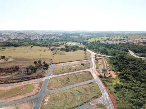 Terreno / Padrão em São José do Rio Preto 