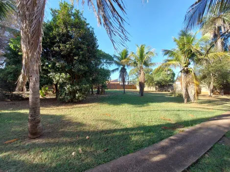 Alugar Rural / Chácara em São José do Rio Preto apenas R$ 3.600,00 - Foto 23