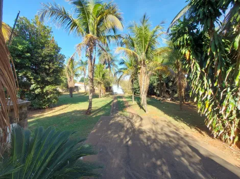 Alugar Rural / Chácara em São José do Rio Preto apenas R$ 3.600,00 - Foto 21