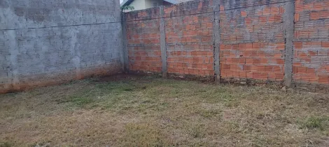 Comprar Casa / Padrão em São José do Rio Preto apenas R$ 147.000,00 - Foto 6