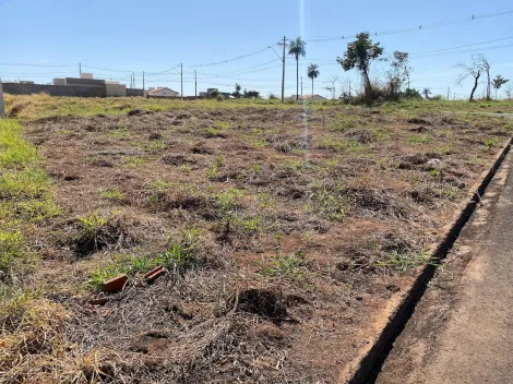 Comprar Terreno / Padrão em São José do Rio Preto apenas R$ 140.000,00 - Foto 3