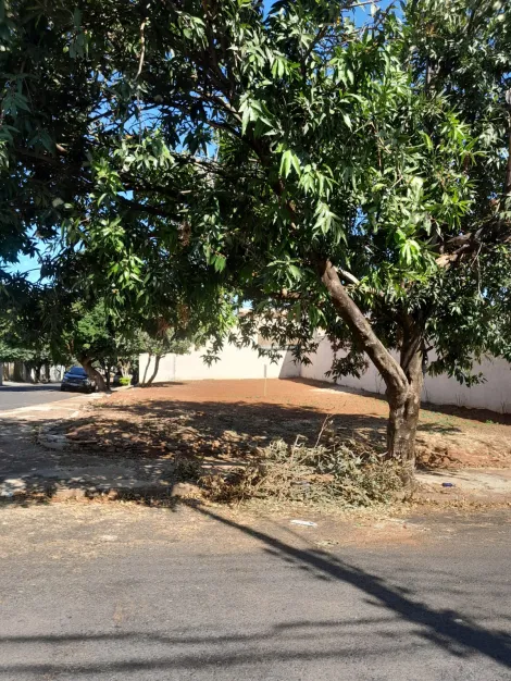 São José do Rio Preto - Jardim Santa Maria - Terreno - Padrão - Venda