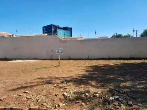 Comprar Terreno / Padrão em São José do Rio Preto R$ 350.000,00 - Foto 3